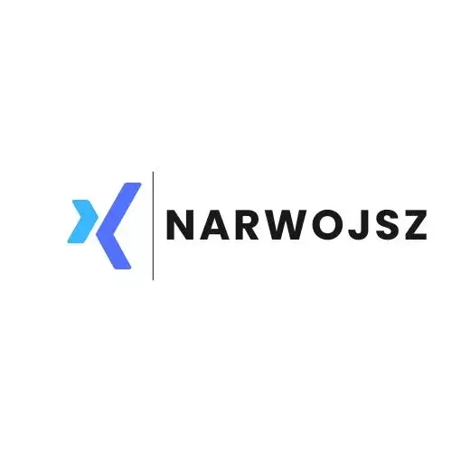 Narwojsz - Twój przewodnik po cyfryzacji biznesu